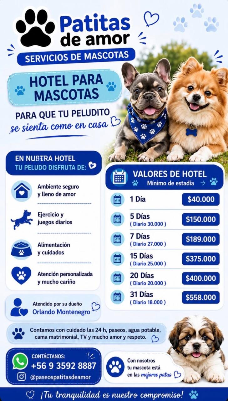 Flyer planes mensuales guardería Patitas de Amor lunes a viernes San Miguel