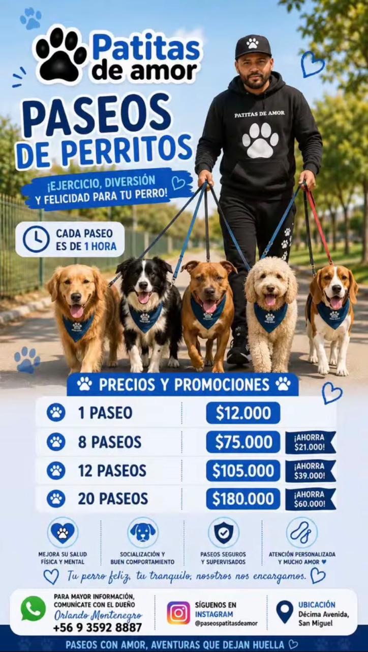 Flyer Hotel Patitas de Amor 24 horas con precios y servicios en San Miguel