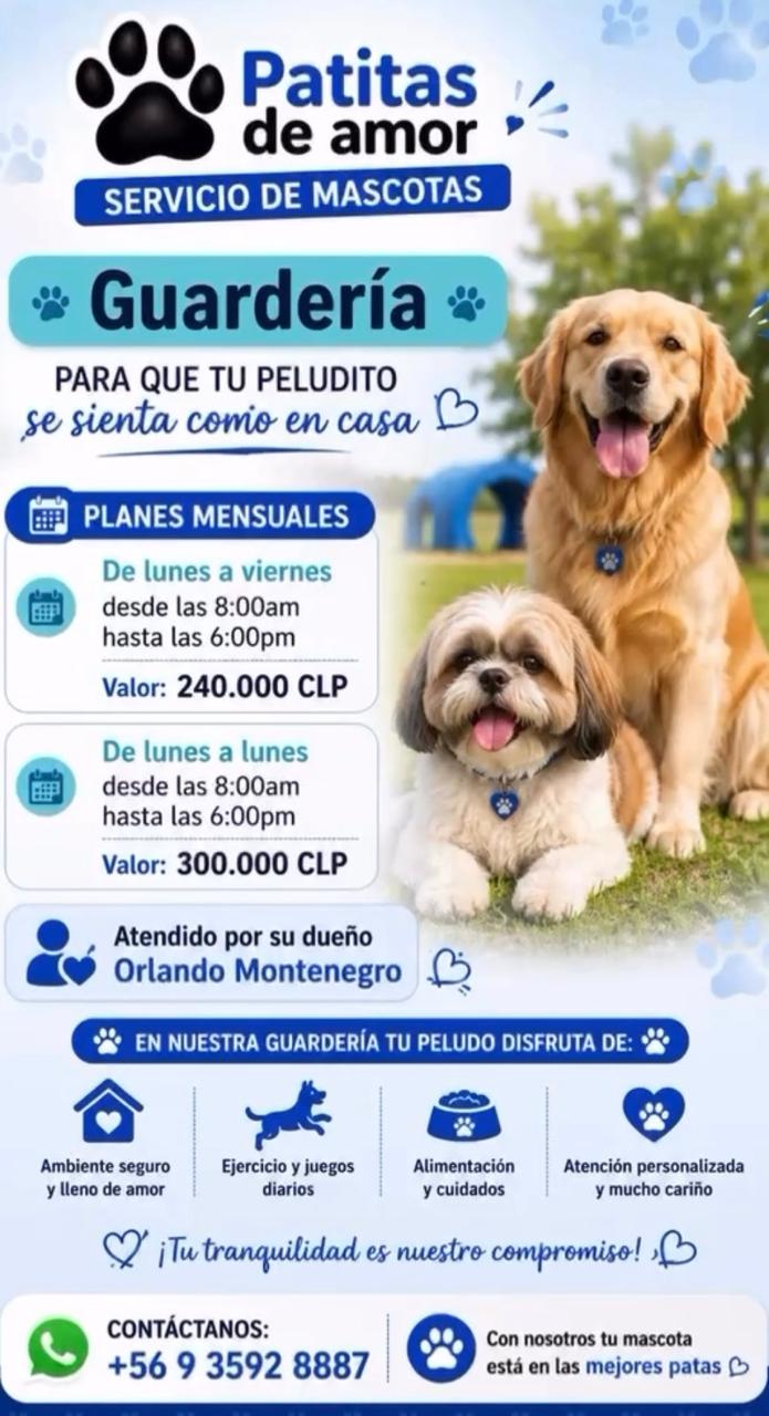 Flyer paseos de perritos 1 hora con precios y promociones Patitas de Amor San Miguel