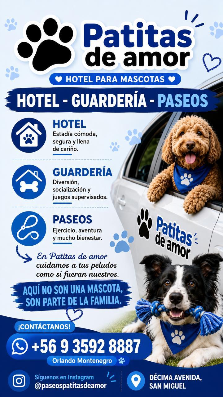 Flyer promoción especial Patitas de Amor hotel y guardería San Miguel