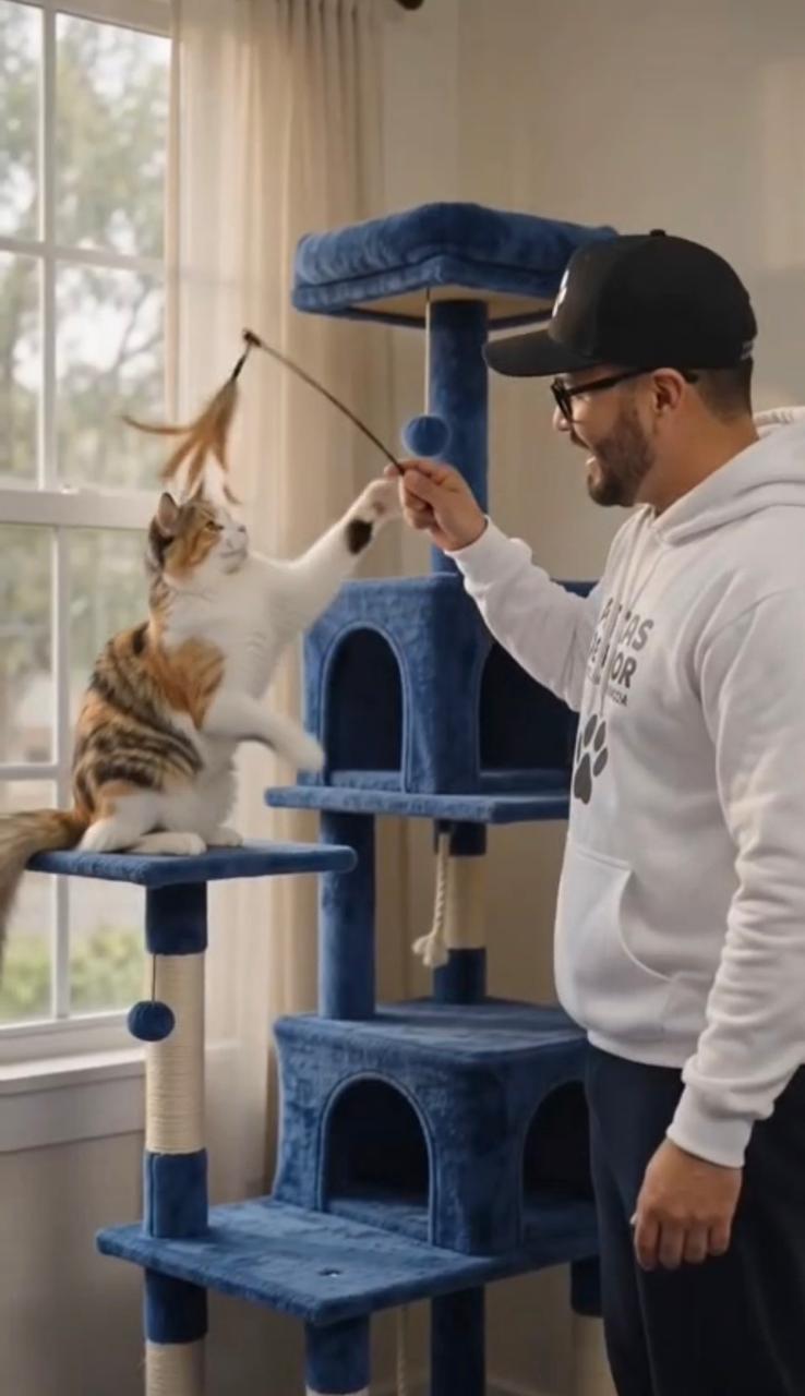 Gatito naranja atigrado acostado en guardería felina Patitas de Amor San Miguel