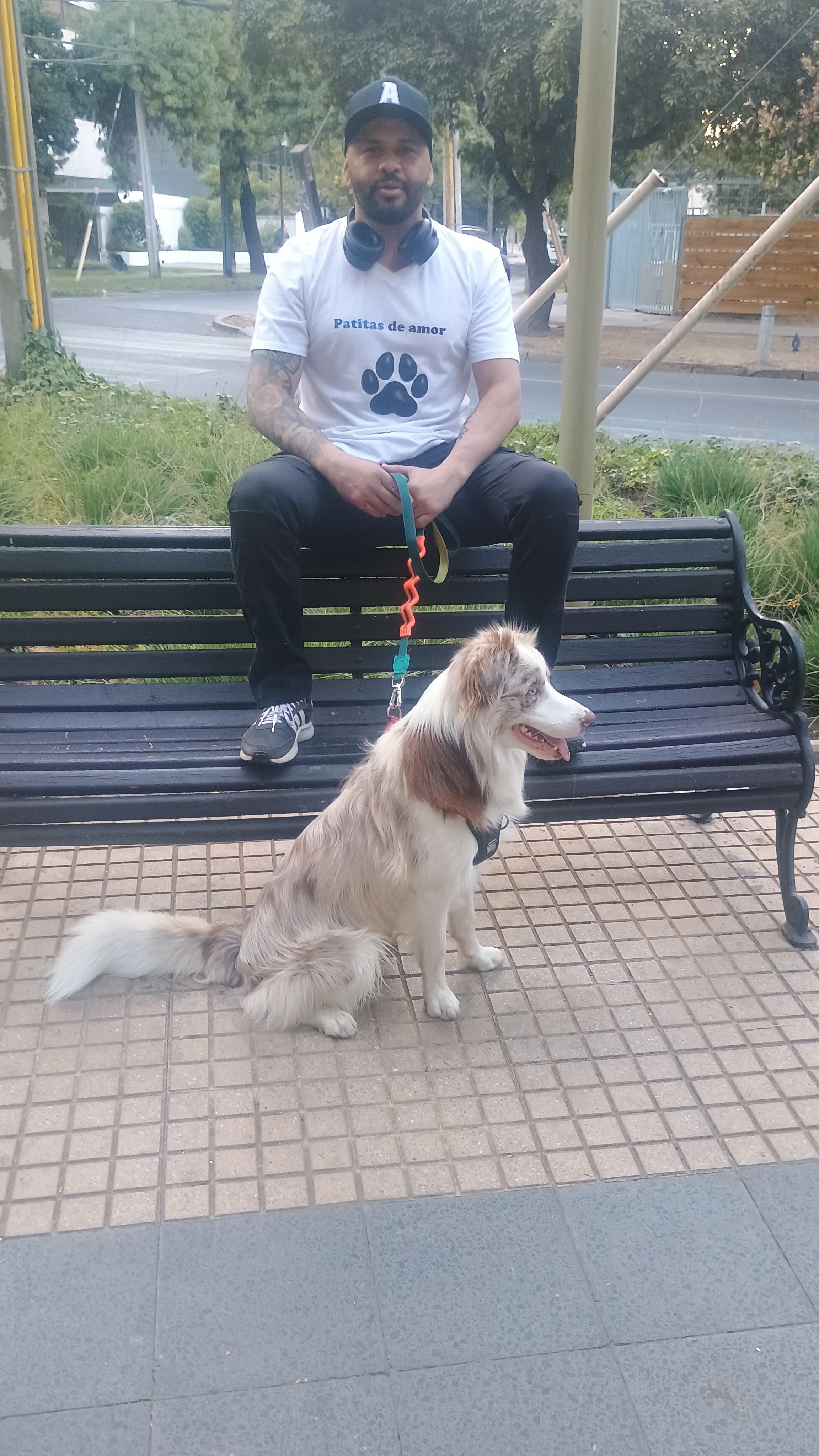 Perro salchicha marrón feliz con orejas largas posando en jardín