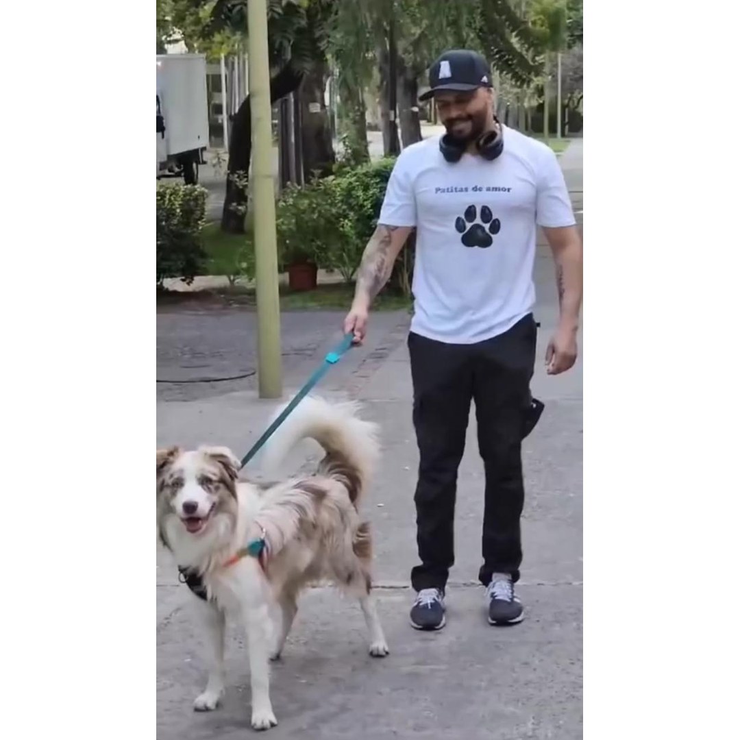 Dos perros amigos abrazados jugando en área de guardería San Miguel