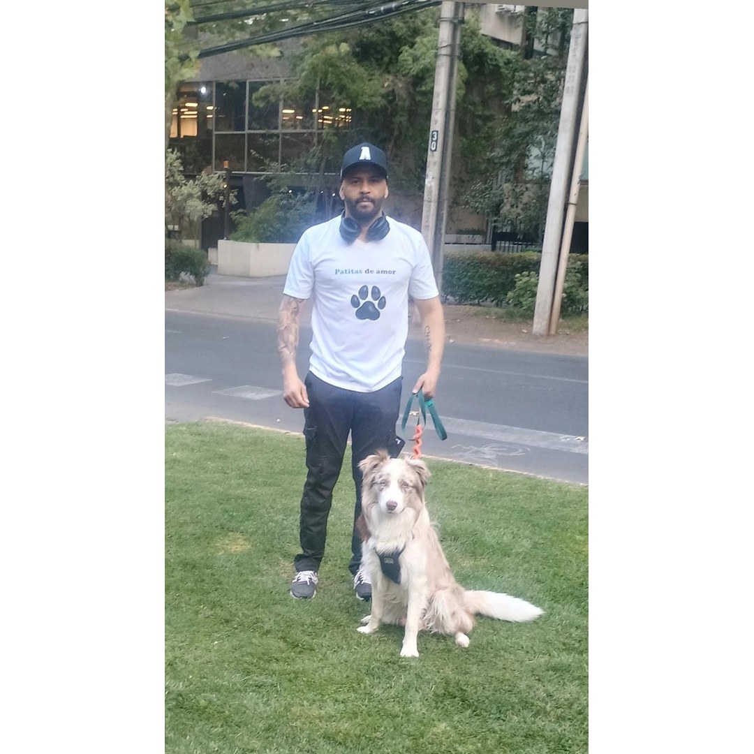 Perro mestizo beige jugando con pelota en guardería Patitas de Amor San Miguel