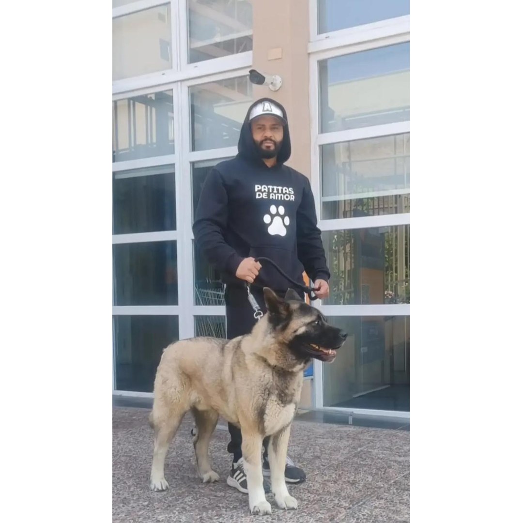 Perro peludo blanco descansando en colchoneta de guardería San Miguel