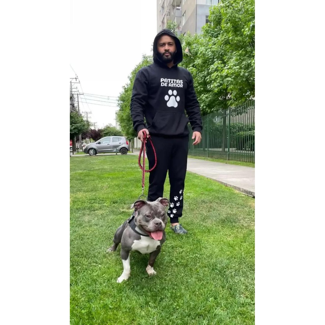 Perro mediano marrón jugando con pelota en área recreación hotel San Miguel
