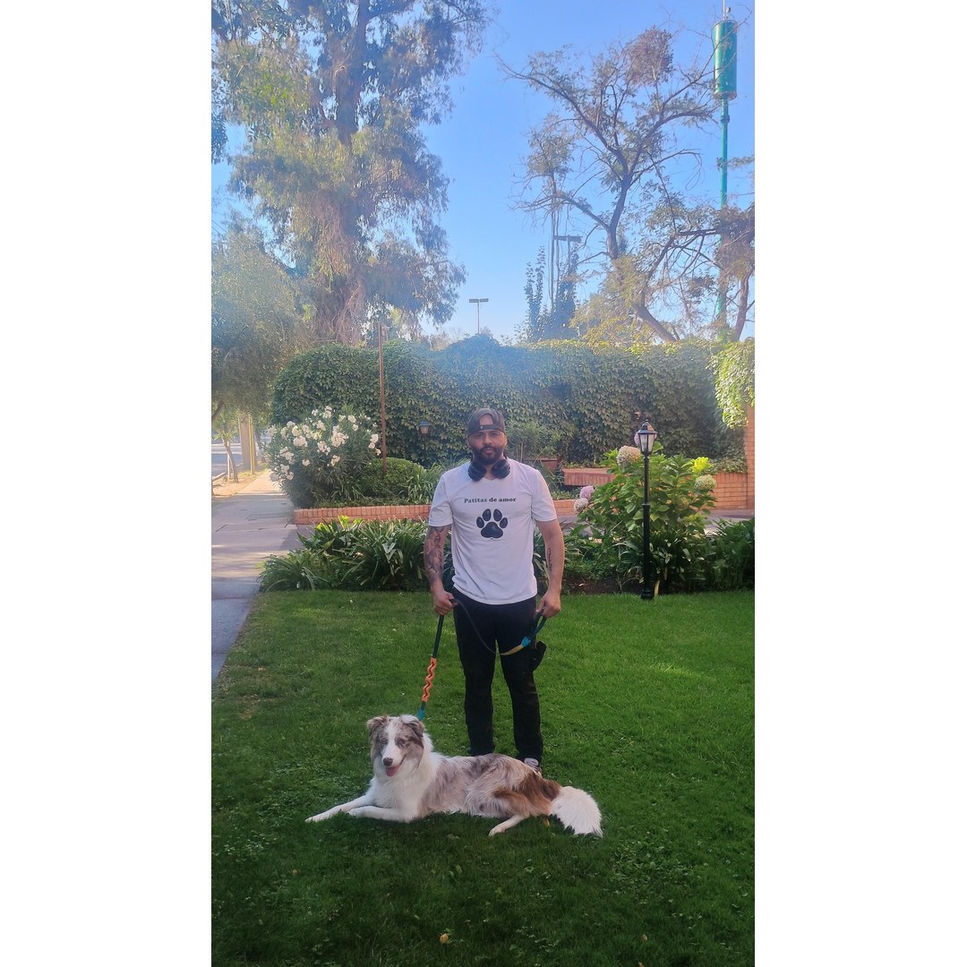 Manada diversa de cinco perros paseando con cuidador Orlando en San Miguel
