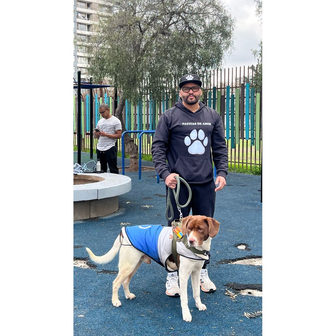 Cuidador Orlando paseando manada de cuatro perros con correa en parque San Miguel