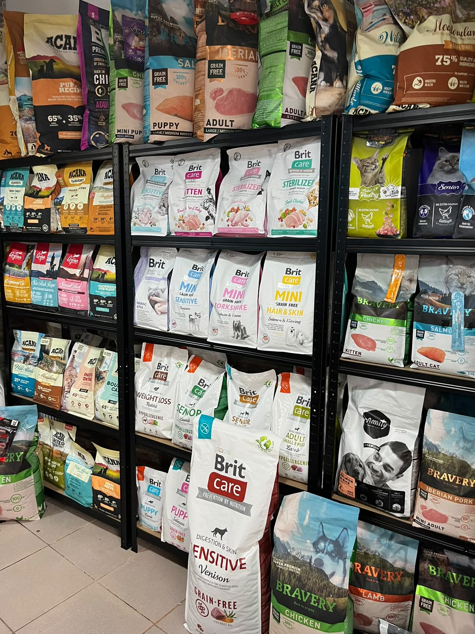 Correas y arneses coloridos para perro en exhibición tienda San Miguel