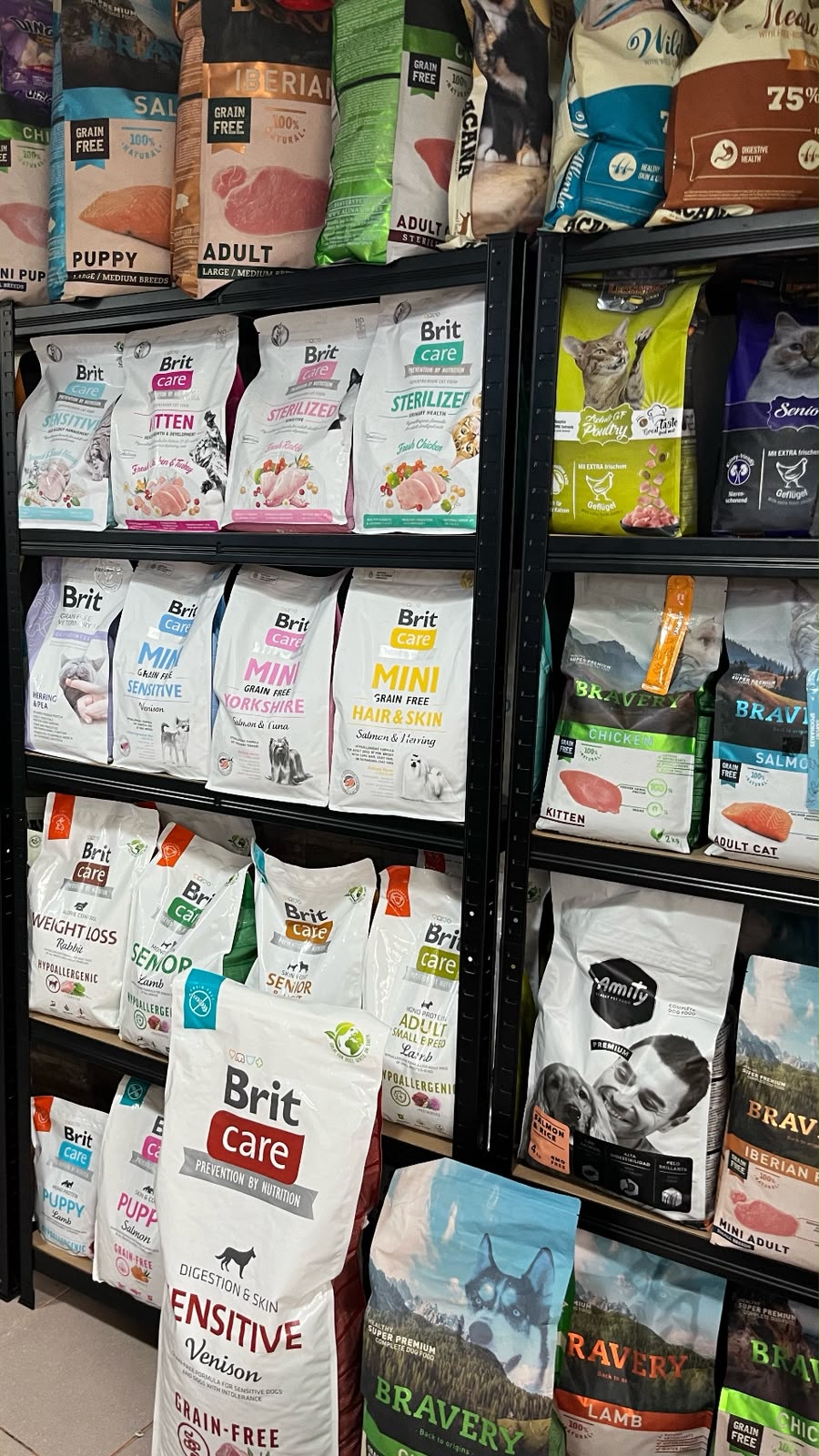 Arenero cerrado moderno para gato con filtro en tienda Patitas de Amor San Miguel